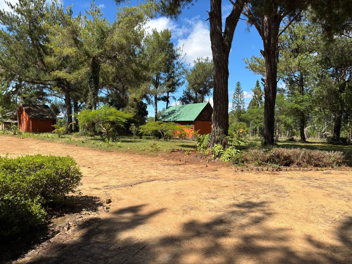 Allée de chalets sous les pins à l'extension Le Repos
