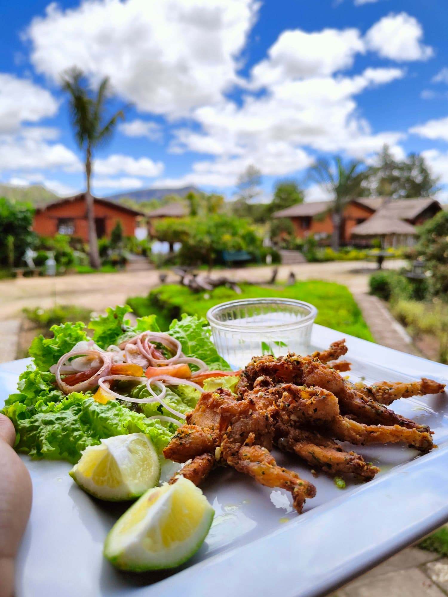 Crispy dish and fresh garden salad served overlooking the garden