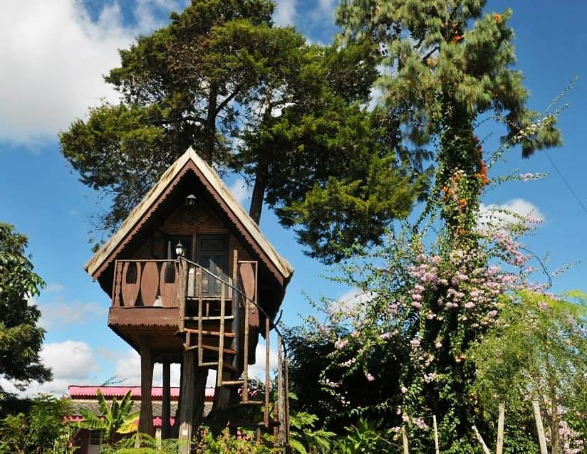 Bungalow Tarzan sur Arbre